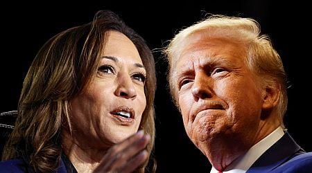 Harris vs Trump: America on a knife edge of fear, loathing and mistrust