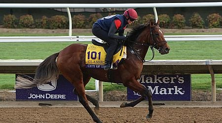 What time is City of Troy running today? Race time, TV info, betting odds and more for the Breeders' Cup