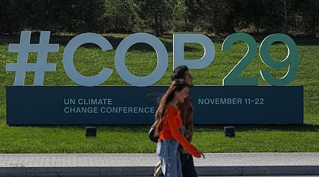 Cop29: Can a bloated and cumbersome process undermined by self-interest deliver for our planet?