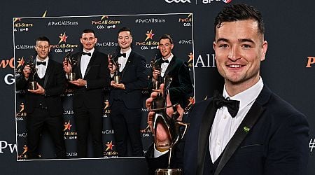 Just three counties dominate GAA All-Star hurling team