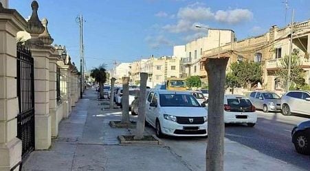 Infrastructure Malta files police report on Mosta tree pruning