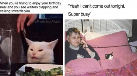 33 Nostalgic Feline Funnies That Get Us Through Our Whiskery Weary Workday, as Told by an Aging Millennial