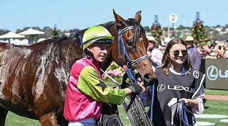 Melbourne Cup prize money as Irish jockey scoops huge sum by winning race that stops a nation