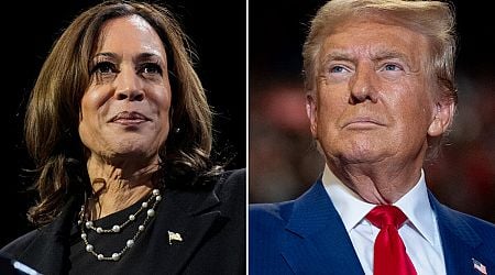 Survey: Trump distrusted by Slovaks, Harris struggles with name recognition