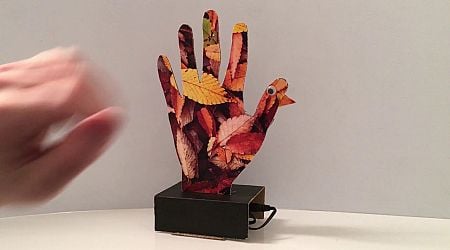 Thanksgiving Robotic Turkey Hand with Circuit Playground Express and Crickit