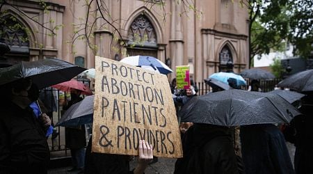 New York voters pass constitution change that supporters say will protect abortion and trans rights