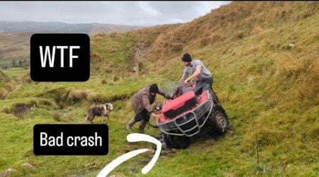 This was not a good idea #tepari #farm #farming #sheep #lambs #irish #ireland #cows #tractors #dogs