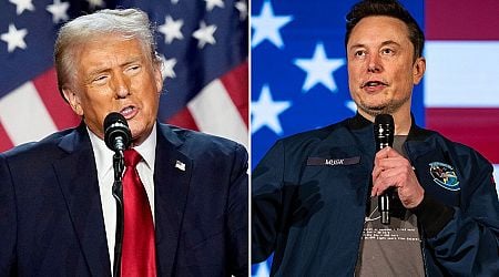 Donald Trump's cosy bond with Elon Musk - cuddlefest to White House promise