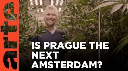 The Czech Cannabis Boom | ARTE.tv Documentary