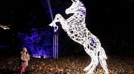 Immersive light show Wonderlights adds three new locations nationwide due to demand