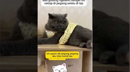 Dasar abu gosong , sok putiih #animal #cat #hewankucing #kucinglucu #funny @zevaxavier