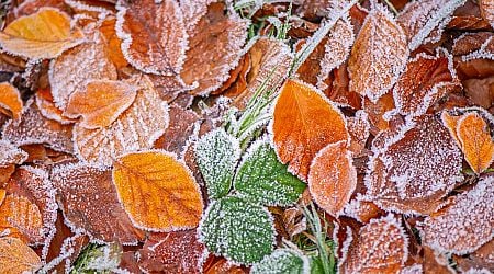 Ireland weather: Met Eireann confirms the day temperatures will plunge to frosty chill