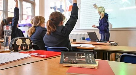 Learning outcomes slide for Irish pupils, report finds