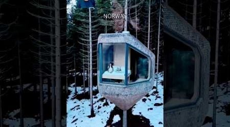 Norway&#39;s Luxury Tree House #shortsvideo