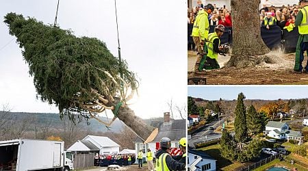 Rockefeller Center Christmas tree headed to Big Apple in honor of holiday-loving do-gooder