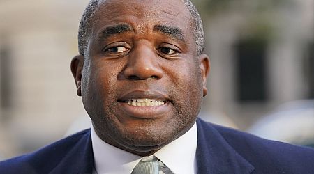 David Lammy and Donald Trump: Winner winner, chicken dinner?