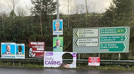 General election posters for Cork candidates vandalised by having faces cut out