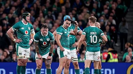 Ireland team slammed for 'embarrassing' celebration during New Zealand loss