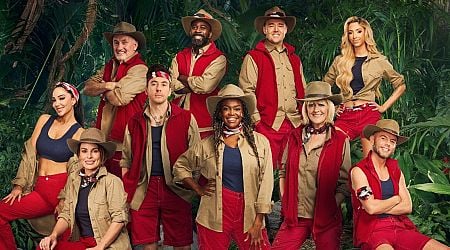 I'm A Celeb stars who know each other VERY well but ITV are strangely playing it down