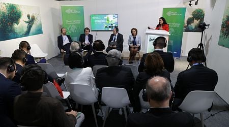 Unlocking Capital for Climate Action: Bulgarian Pavilion Launches COP29 Discussions in Baku