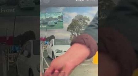 Tesla cam catches &#39;vandal&#39; in the act