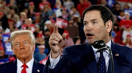 Donald Trump expected to appoint Marco Rubio as US secretary of state