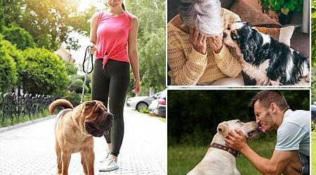 Owning a dog can help you live longer