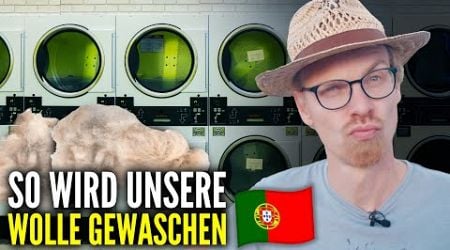 Von Deutschland nach Portugal - So wird unsere Wolle SAUBER!