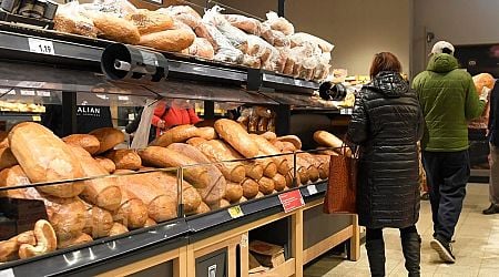 The king of Slovak bread is in Czechia (list of the largest bakeries)