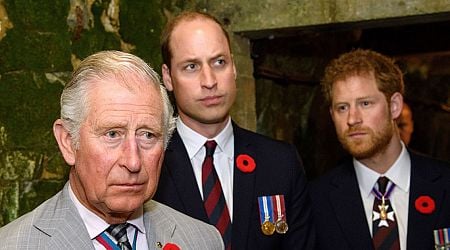 King Charles' birthday turned into 'absolute nightmare' by Prince William and Prince Harry