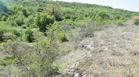 New Protected Area Declared in Kushin, N Bulgaria