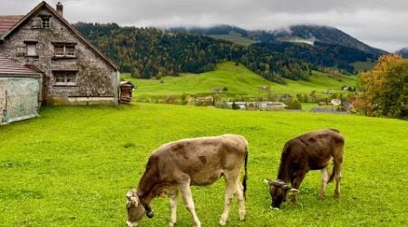 Switzerland&#39;s most beautiful villages - Heavenly beautiful places in Switzerland countryside