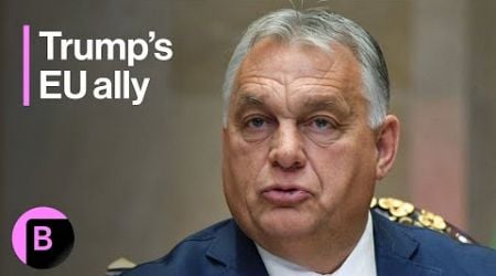 Trump Ally Viktor Orban Hosts EU Leaders in Hungary to Discuss US Election