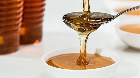 Campaign Launched to Combat the Spread of Fake Honey