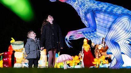 From enchanted forests to winter wonderlands: 12 Christmas experiences to try around Ireland