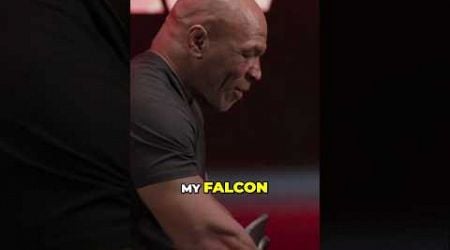 Mike Tyson&#39;s Falcon vs. Jake Paul&#39;s Pigeon??? #boxing #miketyson #jakepaulvsmiketyson