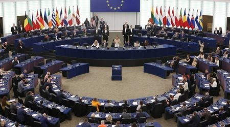 EP votes for 1-year delay to anti-deforestation law