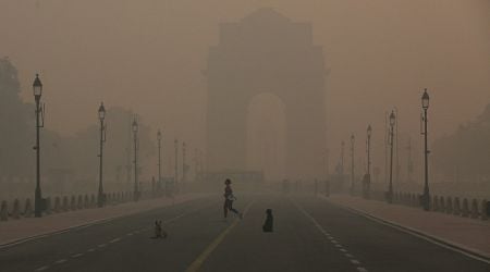 Smog engulfs Indian capital, disrupting public transport