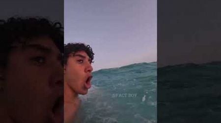 Boy found strange animal in the sea #shortvideo