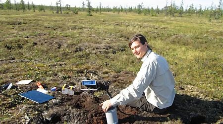 Exploring how microbes in permafrost contribute to nitrous oxide emissions