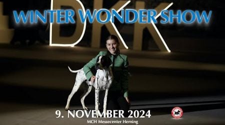 DKK&#39;s Winter Wonder Show 2024 - Denmark