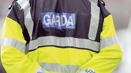 Woman (35) dies in hospital three weeks after Limerick crash 