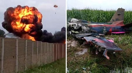 Bird strike caused Freccia Tricolore crash that killed kid