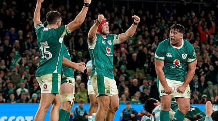 The Aviva crowd steps up as Ireland grind out victory over Argentina