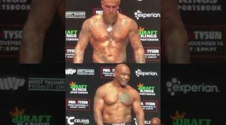 JAKE PAUL VS MIKE TYSON WEIGH IN COMPARISON #Shorts