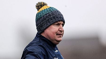 Laois hurling manager Darren Gleeson steps down after being diagnosed with cancer