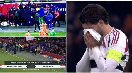 Netherlands vs Hungary Temporarily Suspended After Medical Emergency