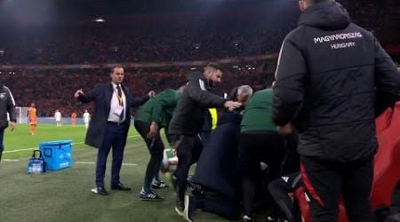 Netherlands vs Hungary Match Stopped, Hungary Coach Staff Member collapse on Bench on live match