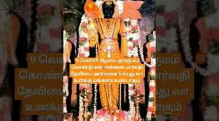 #om #2024 #muruganvakku #godmuruga #murugan #omsaravanabhava #trends #ibcbakthi #murugantamil