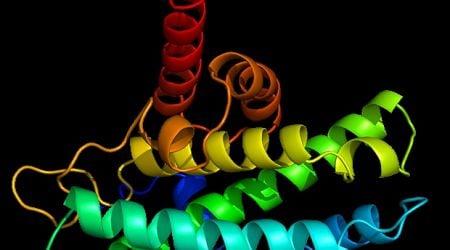 Breakthrough in protein engineering may lead to more effective cancer therapies Scientists At A...